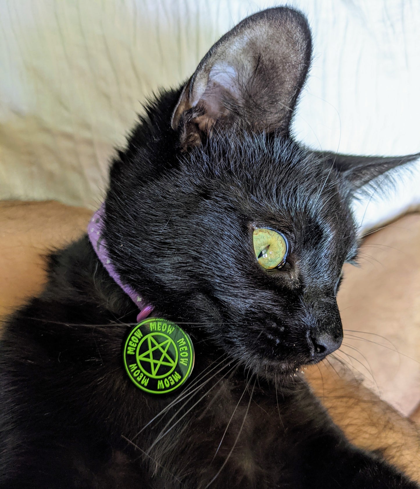 Meow Pentagram enamel pin